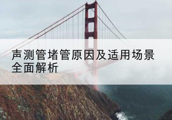 雷州声测管堵管的主要原因有哪些？-声测管堵管原因及适用场景全面解析